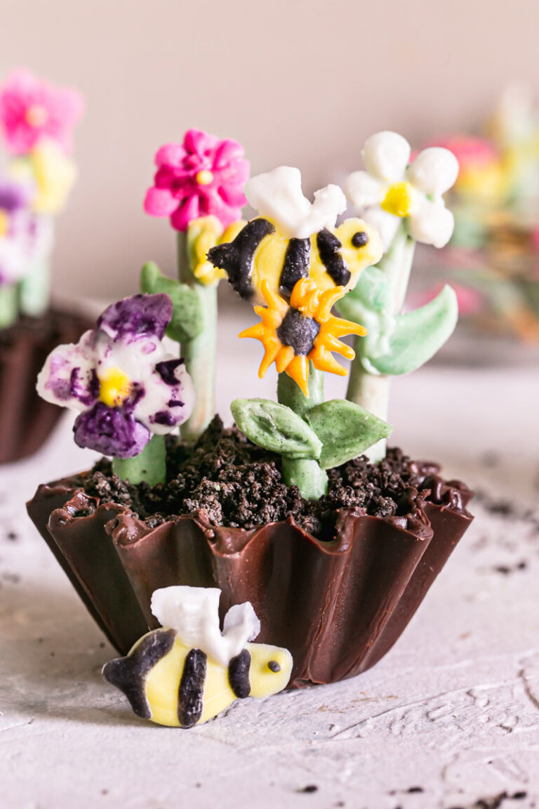a close up of a Chocolate Avocado Pudding Dirt Cup
