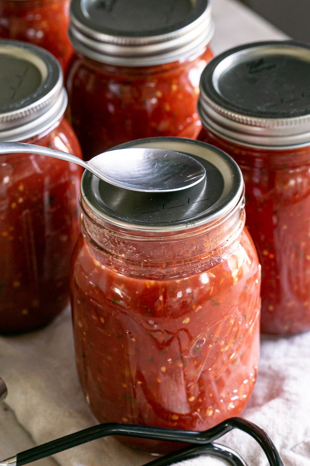 Garden Fresh Restaurant Style Canned Salsa - Healthy Little Vittles