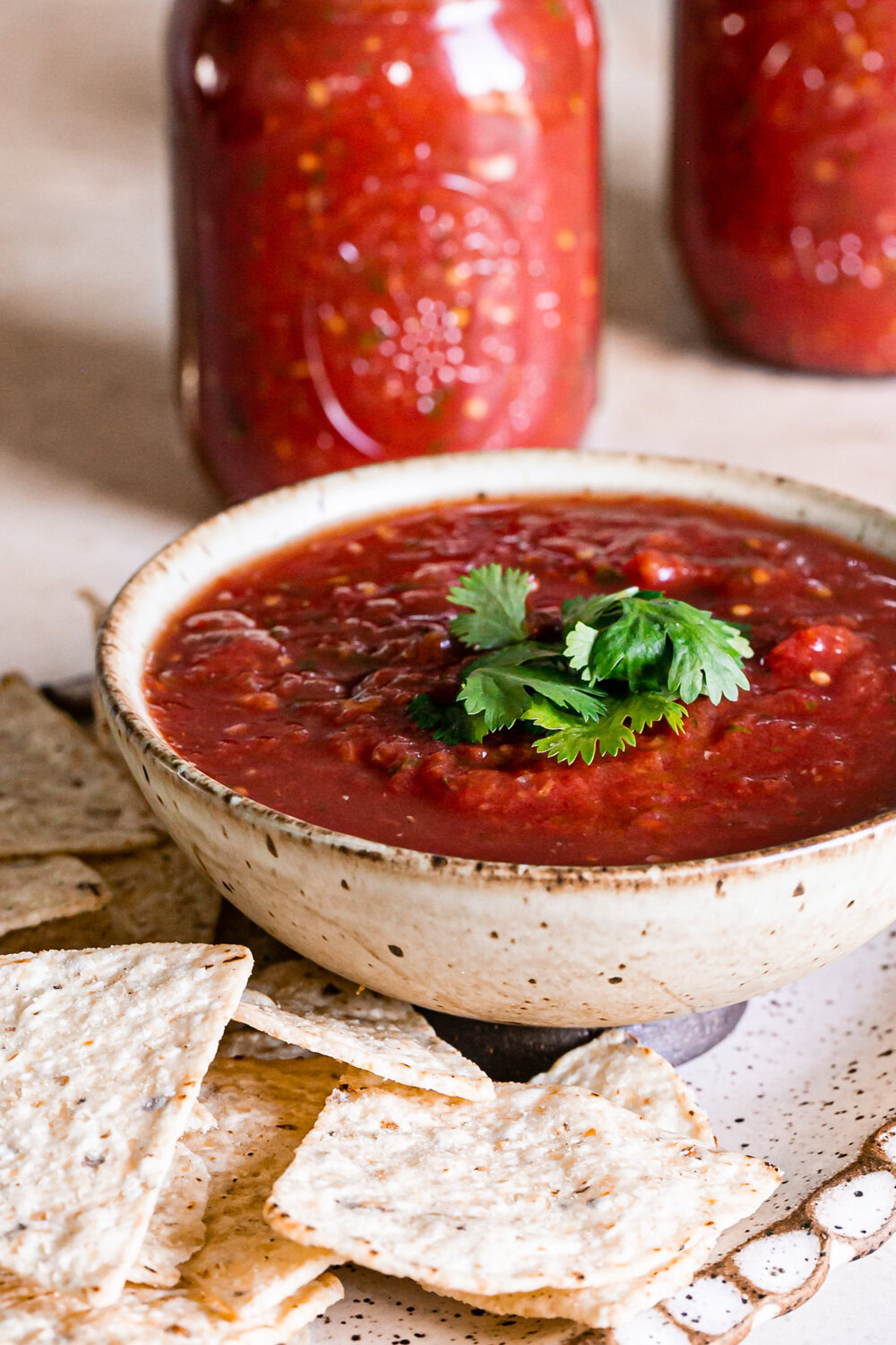 Garden Fresh Restaurant Style Canned Salsa - Healthy Little Vittles