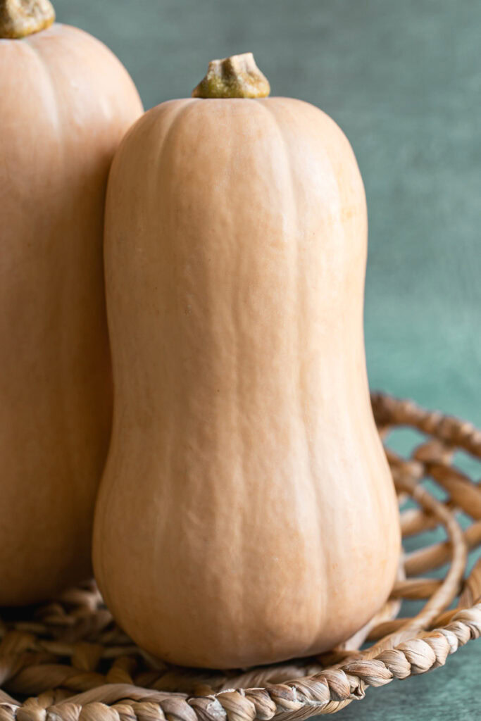 a close up of butternut squash standing upward.
