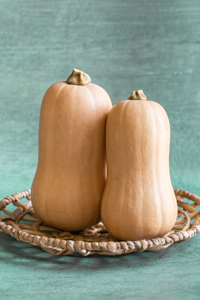 two butternut squash standing upward.