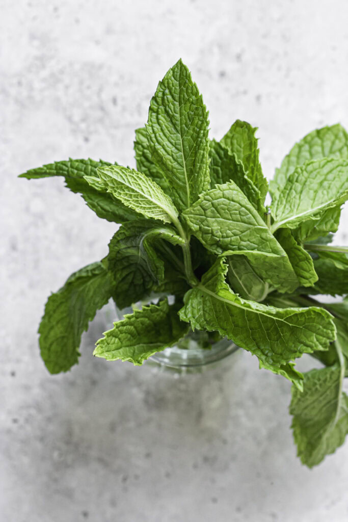 fresh mint leaves.