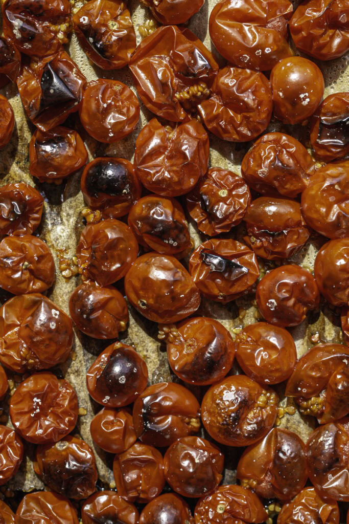 roasted cherry tomatoes.