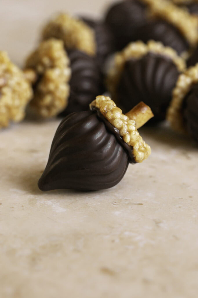 close up of a chocolate acorn with others blurred in the background.