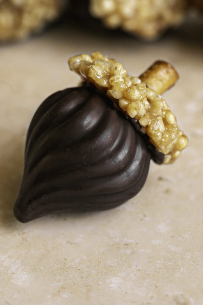 close up of a single chocolate acorn.