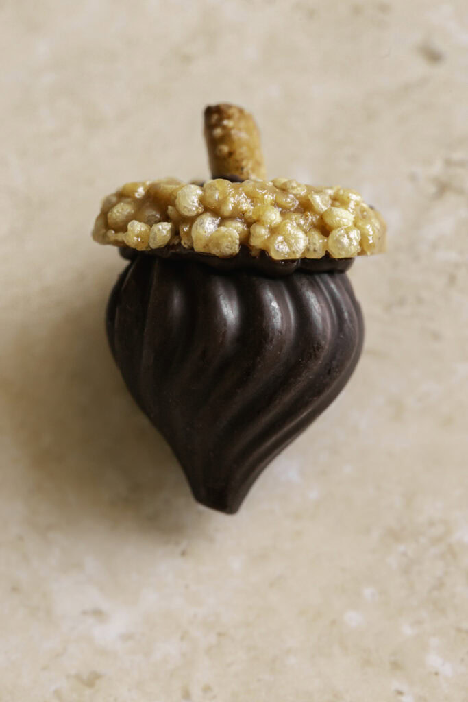 close up overhead of a single chocolate acorn.
