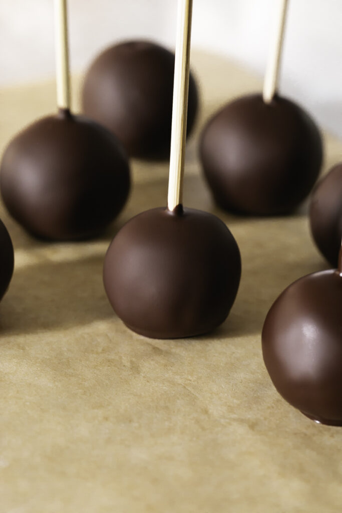 chocolate coated brownie bites with the sticks still in them.
