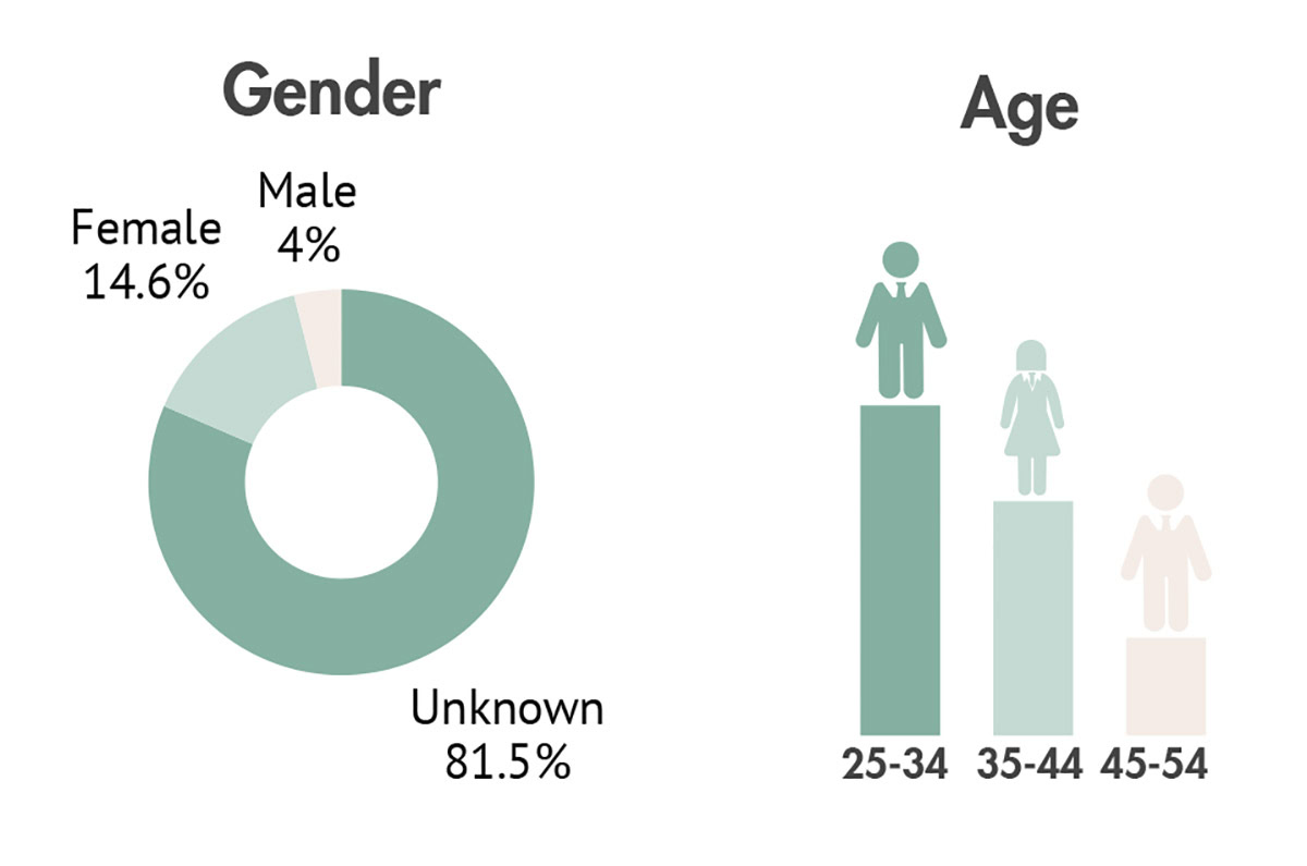 Demographics graphic showing Gender and age based main traffic