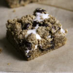 3/4 shot of a smores cookie crumb bar.